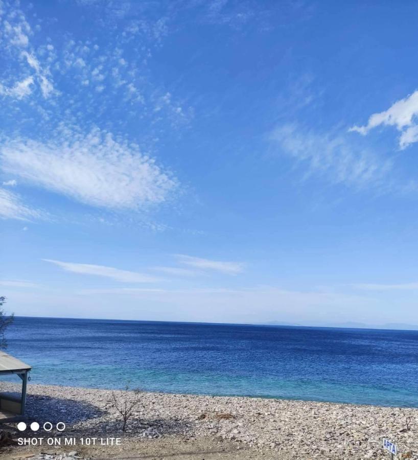 Despoina Seaside Apartment Ágios Konstantínos المظهر الخارجي الصورة